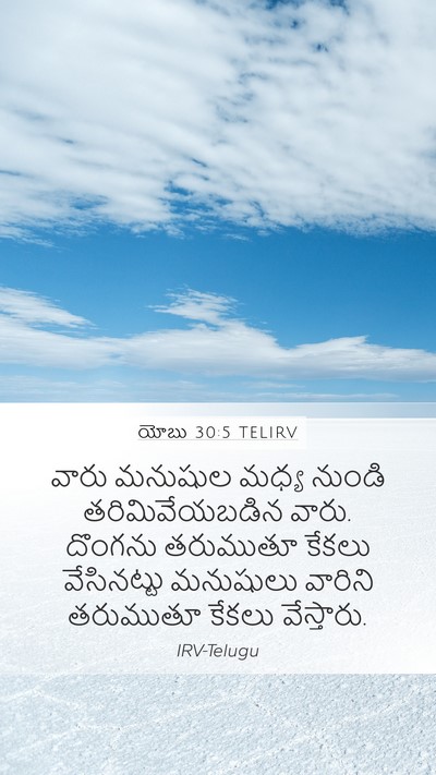 యోబు 30:5 TELIRV Bible Verse Image