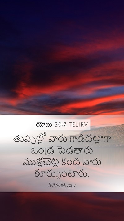 యోబు 30:7 TELIRV Bible Verse Image