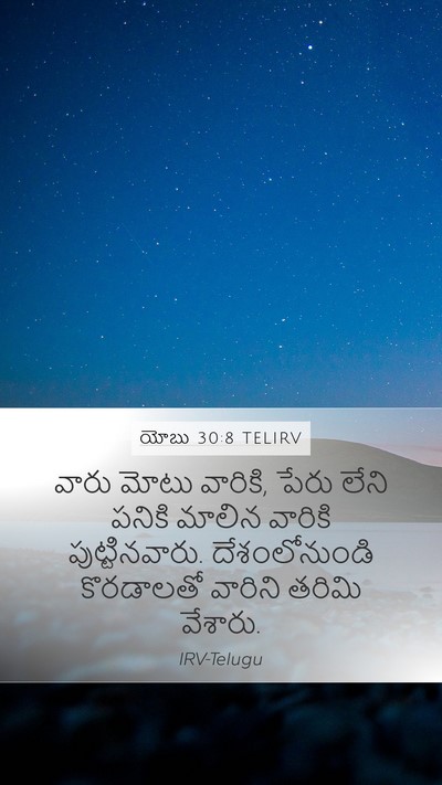 యోబు 30:8 TELIRV Bible Verse Image
