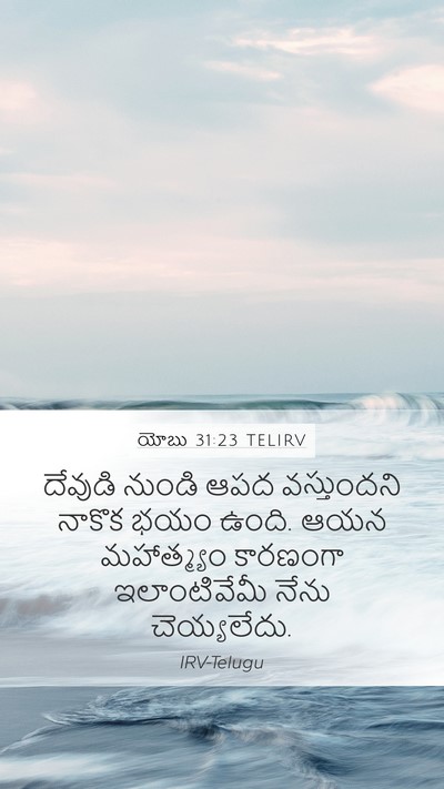 యోబు 31:23 TELIRV Bible Verse Image