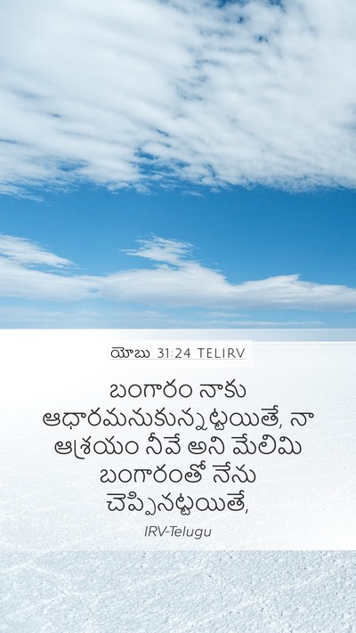 యోబు 31:24 TELIRV Bible Verse Image