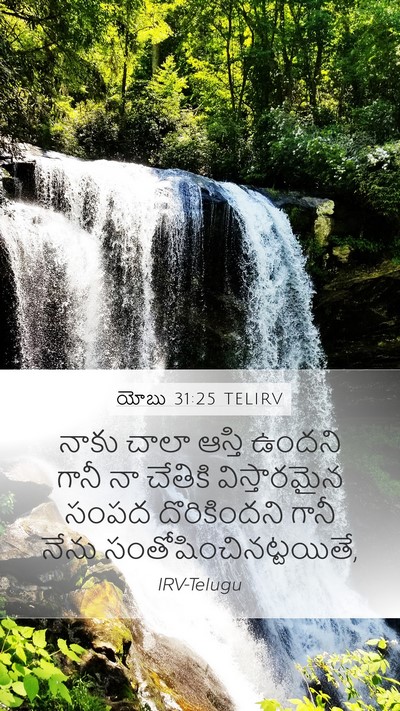 యోబు 31:25 TELIRV Mobile Phone Wallpaper - నాకు చాలా ఆస్తి - Mobile Bible Verse Wallpaper