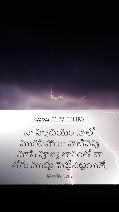 యోబు 31:27 TELIRV Bible Verse Image