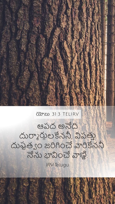 యోబు 31:3 TELIRV Bible Verse Image
