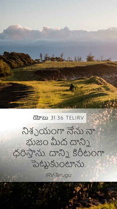యోబు 31:36 TELIRV Mobile Phone Wallpaper - నిశ్చయంగా నేను నా - Mobile Bible Verse Wallpaper