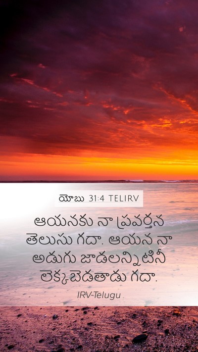 యోబు 31:4 TELIRV Bible Verse Image