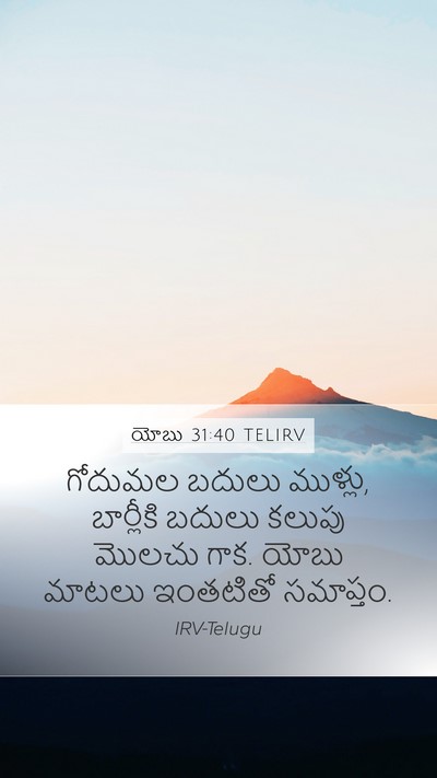 యోబు 31:40 TELIRV Bible Verse Image