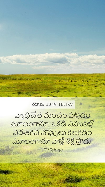 యోబు 33:19 TELIRV Bible Verse Image