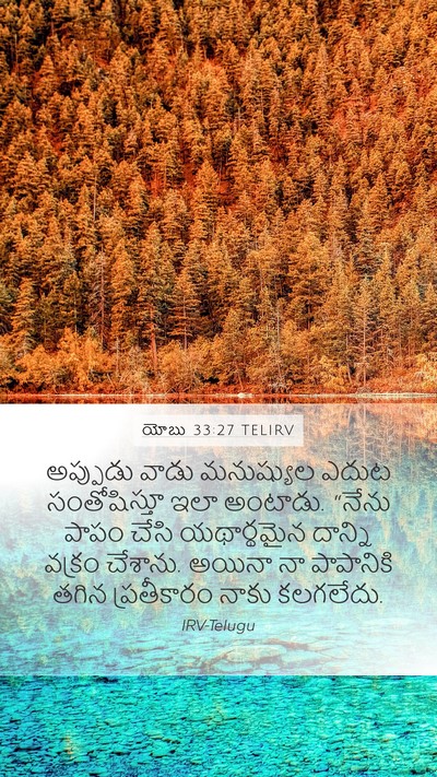 యోబు 33:27 TELIRV Bible Verse Image