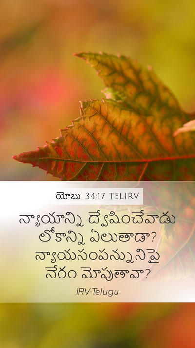 యోబు 34:17 TELIRV Bible Verse Image