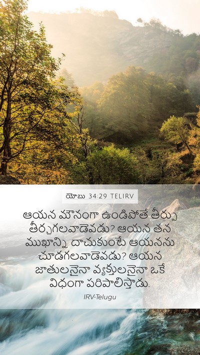 యోబు 34:29 TELIRV Bible Verse Image