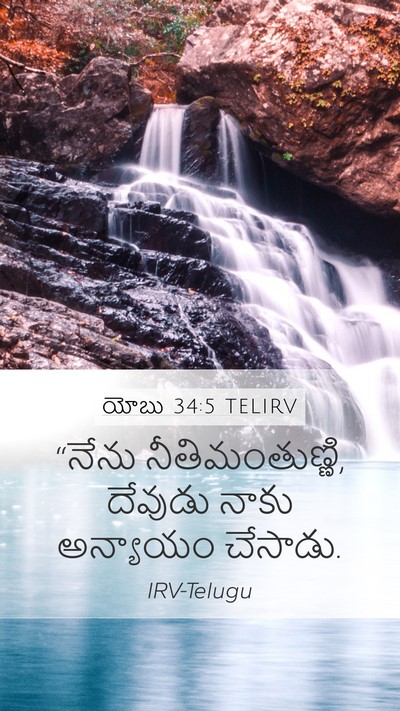 యోబు 34:5 TELIRV Bible Verse Image