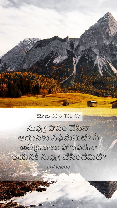యోబు 35:6 TELIRV Bible Verse Image
