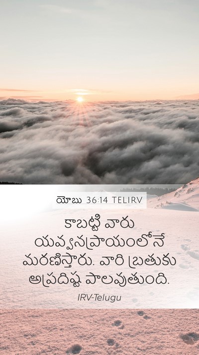 యోబు 36:14 TELIRV Bible Verse Image