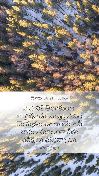 యోబు 36:21 TELIRV Bible Verse Image