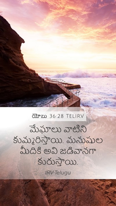 యోబు 36:28 TELIRV Mobile Phone Wallpaper - మేఘాలు వాటిని - Mobile Bible Verse Wallpaper