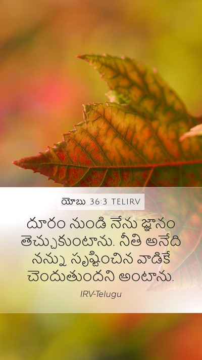 యోబు 36:3 TELIRV Bible Verse Image