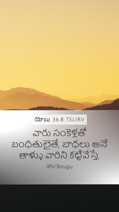 యోబు 36:8 TELIRV Bible Verse Image