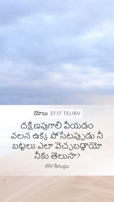 యోబు 37:17 TELIRV Bible Verse Image