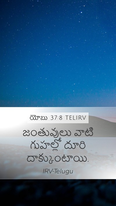 యోబు 37:8 TELIRV Bible Verse Image