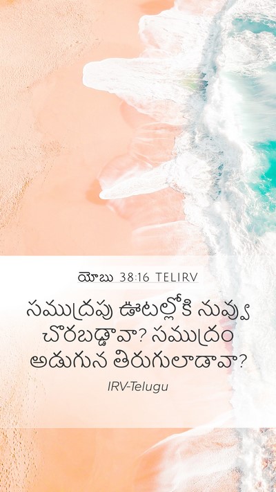 యోబు 38:16 TELIRV Bible Verse Image