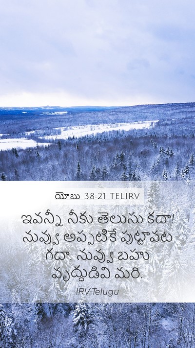 యోబు 38:21 TELIRV Bible Verse Image