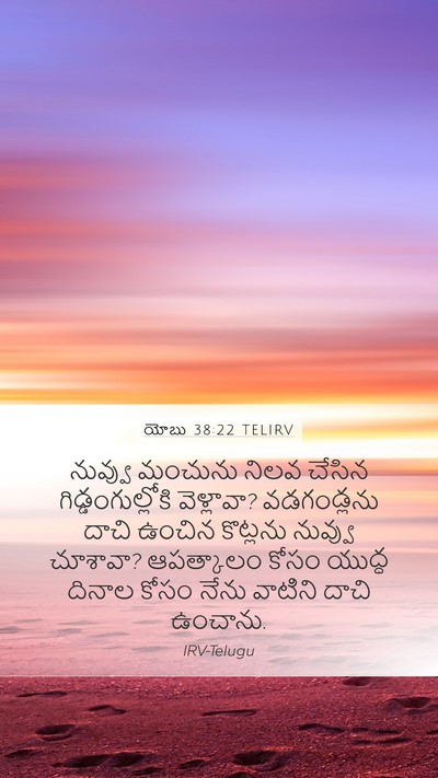 యోబు 38:22 TELIRV Bible Verse Image