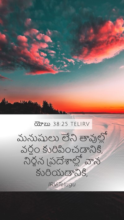 యోబు 38:25 TELIRV Bible Verse Image