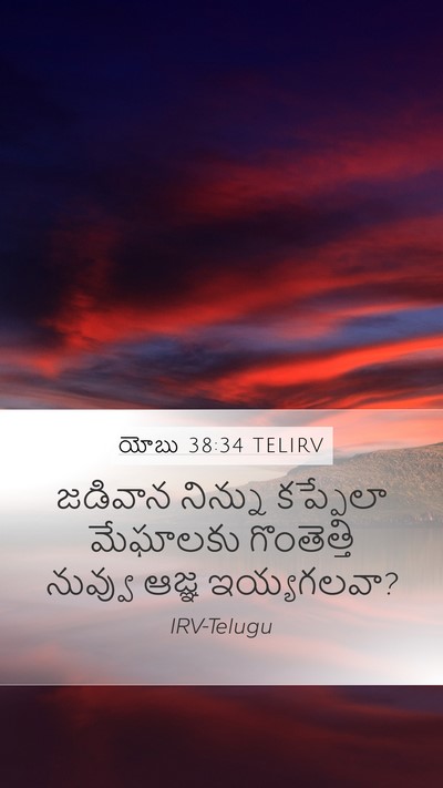 యోబు 38:34 TELIRV Bible Verse Image
