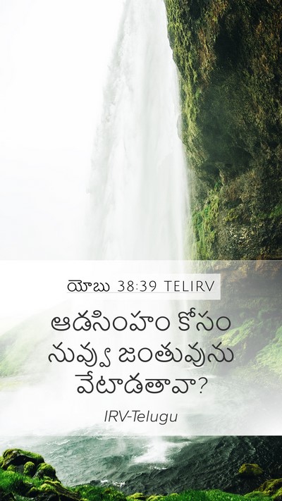 యోబు 38:39 TELIRV Bible Verse Image