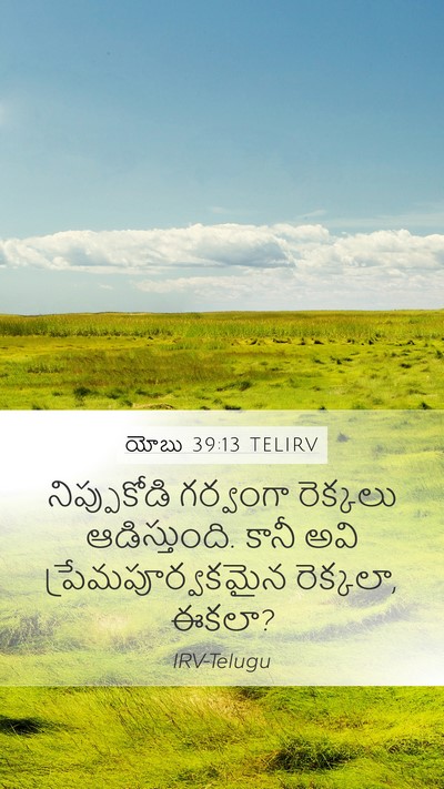 యోబు 39:13 TELIRV Bible Verse Image