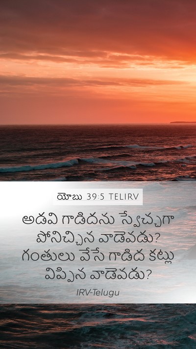 యోబు 39:5 TELIRV Bible Verse Image