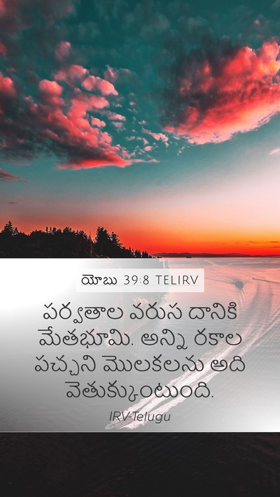 యోబు 39:8 TELIRV Bible Verse Image