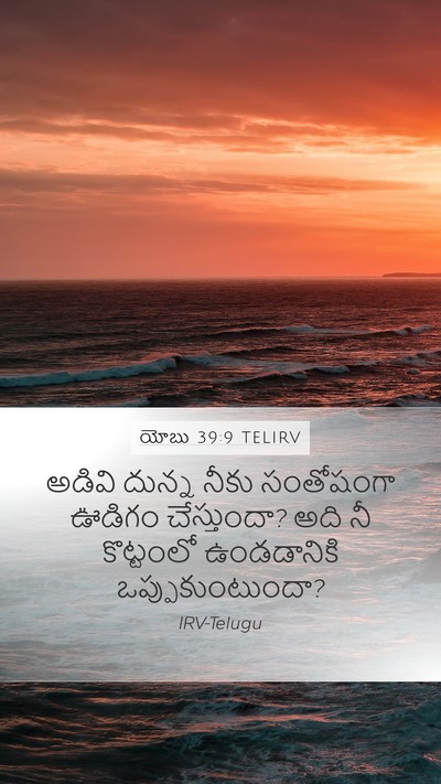 యోబు 39:9 TELIRV Bible Verse Image