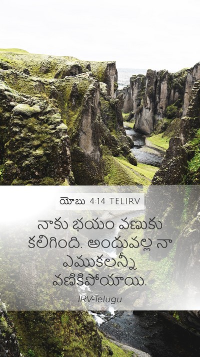 యోబు 4:14 TELIRV Bible Verse Image