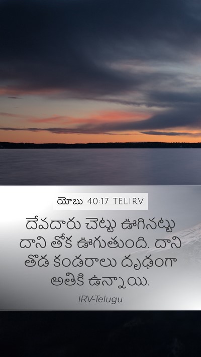 యోబు 40:17 TELIRV Bible Verse Image