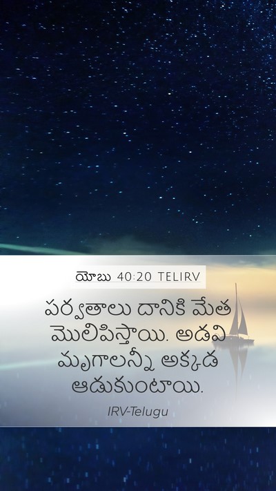 యోబు 40:20 TELIRV Bible Verse Image