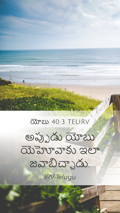 యోబు 40:3 TELIRV Bible Verse Image