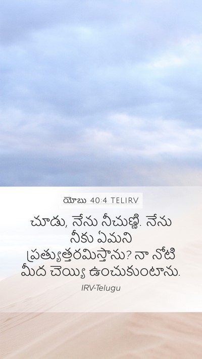 యోబు 40:4 TELIRV Bible Verse Image