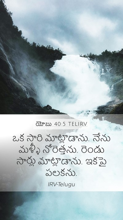 యోబు 40:5 TELIRV Bible Verse Image