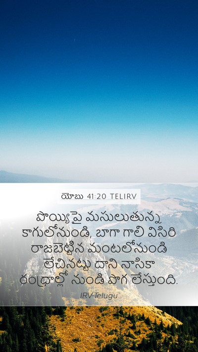యోబు 41:20 TELIRV Bible Verse Image