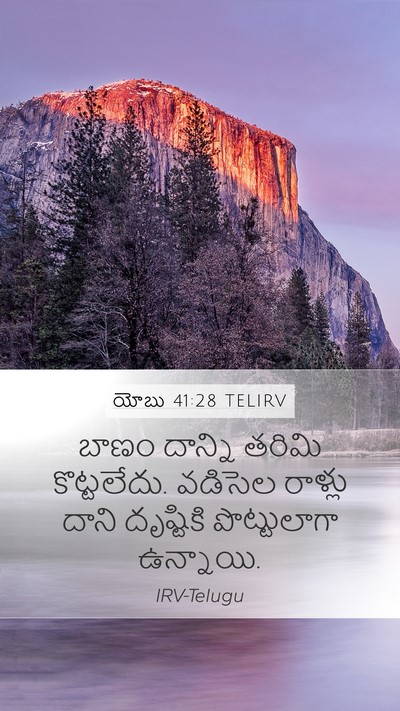 యోబు 41:28 TELIRV Mobile Phone Wallpaper - బాణం దాన్ని తరిమి - Mobile Bible Verse Wallpaper
