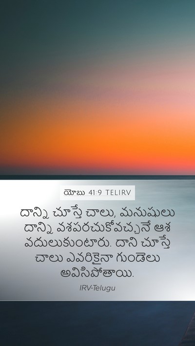 యోబు 41:9 TELIRV Mobile Phone Wallpaper - దాన్ని చూస్తే - Mobile Bible Verse Wallpaper
