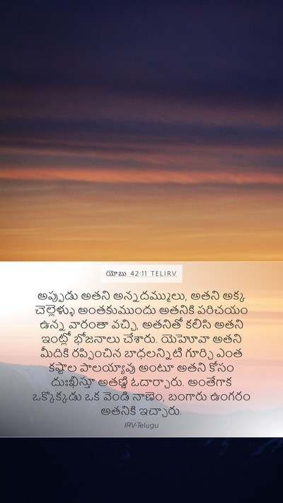 యోబు 42:11 TELIRV Bible Verse Image