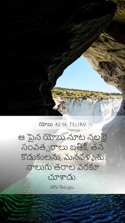 యోబు 42:16 TELIRV Bible Verse Image