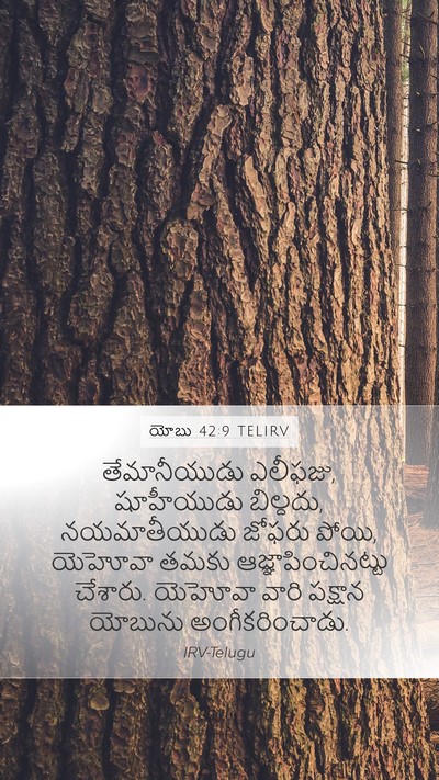 యోబు 42:9 TELIRV Bible Verse Image