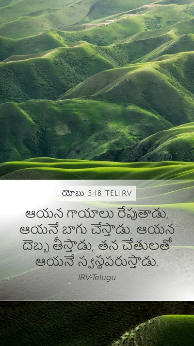 యోబు 5:18 TELIRV Bible Verse Image