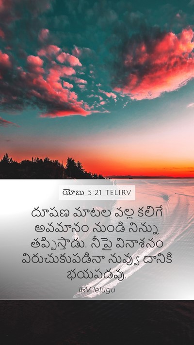 యోబు 5:21 TELIRV Bible Verse Image