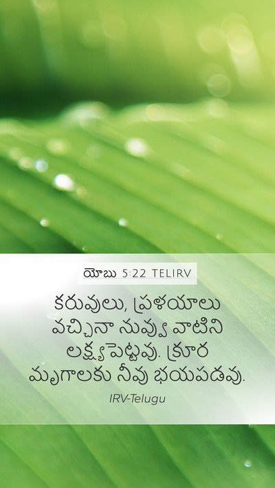 యోబు 5:22 TELIRV Bible Verse Image