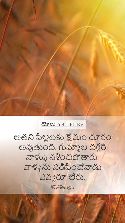 యోబు 5:4 TELIRV Bible Verse Image